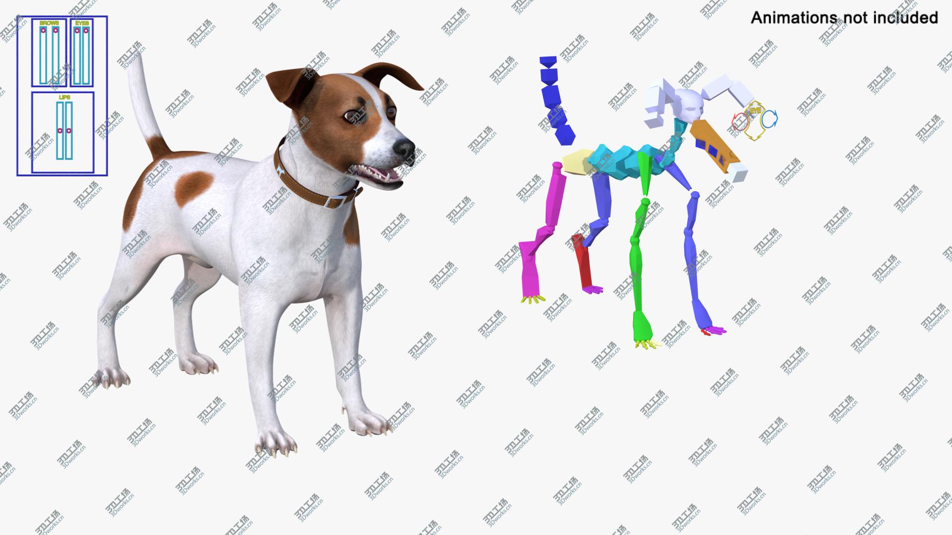 images/goods_img/202104093/Spotted Jack Russell Terrier Rigged 3D model/5.jpg